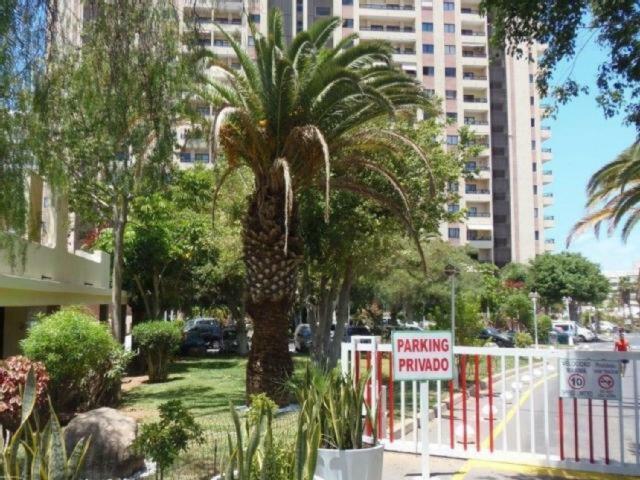 Golden Dreams & Perfect For You ***** Costa Adeje  Εξωτερικό φωτογραφία